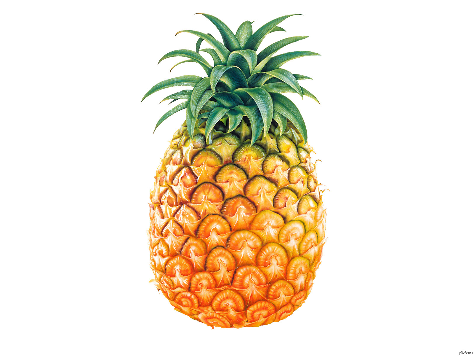 Pineapple Dildo