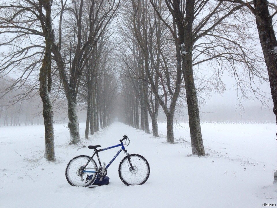Зима какие велосипеды. Зимний велосипед. Велосипед для снега. Велосипед в сугробе. Велосипед для зимы.