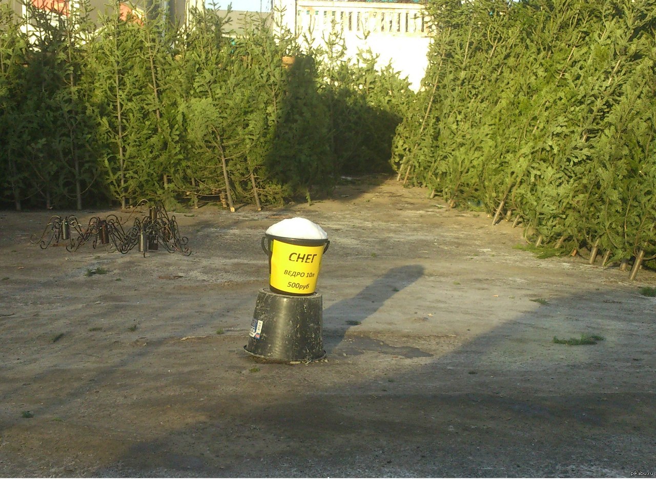 Продам снег прикольные картинки