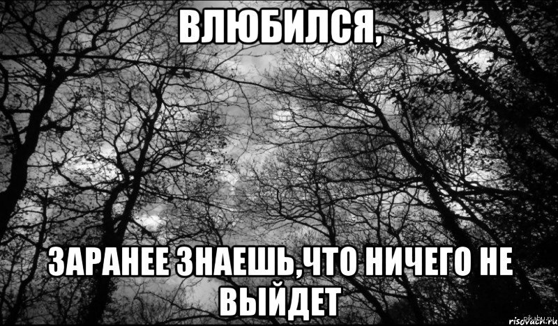 Безысходность. | Пикабу
