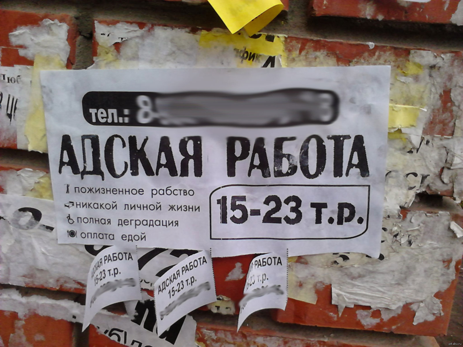 Никакой оплаты. Работаю за еду. Работа за еду. Объявление Адская работа. Работаю за еду фото.