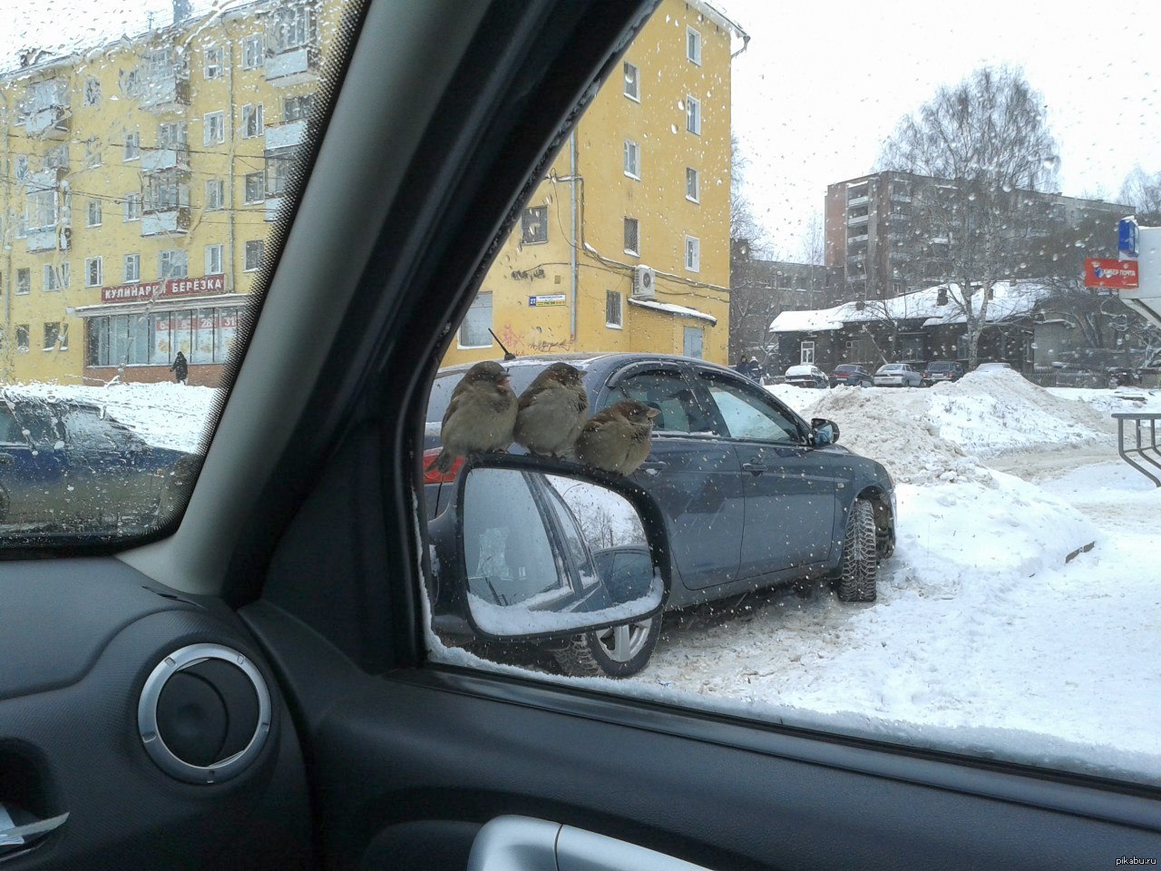 Придумайте название) | Пикабу