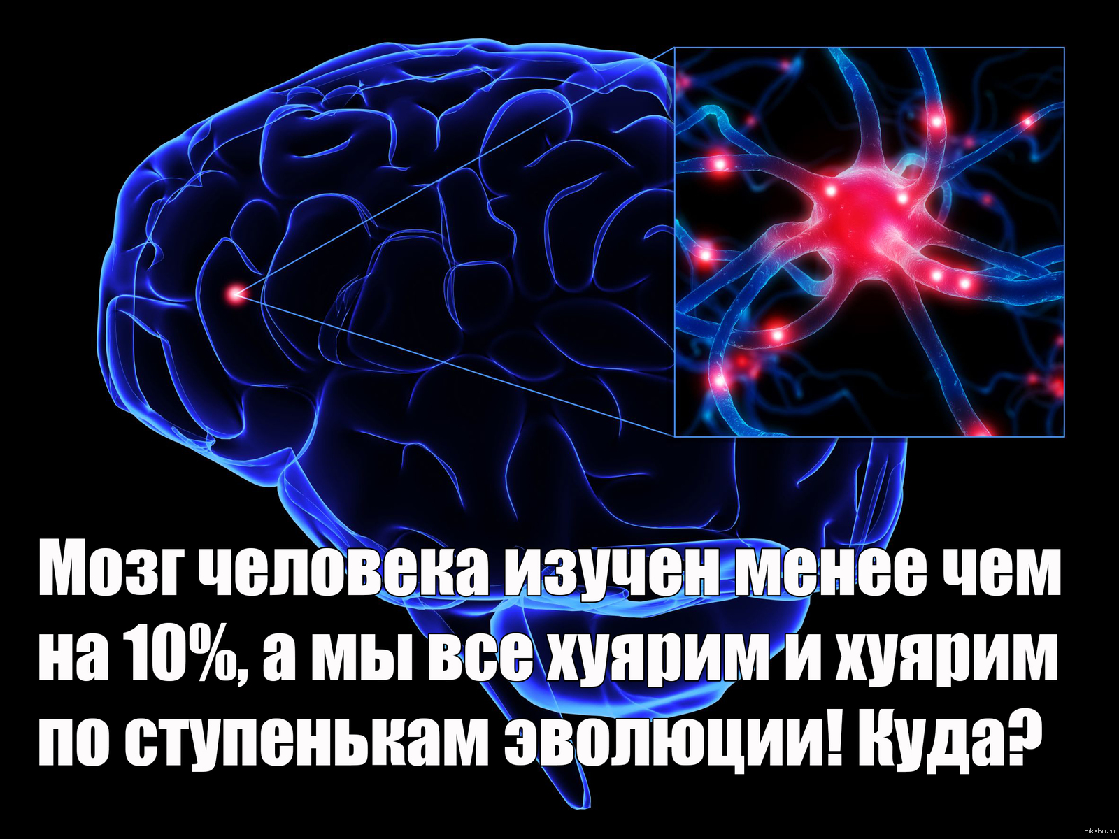 Ступеньки эволюции! | Пикабу