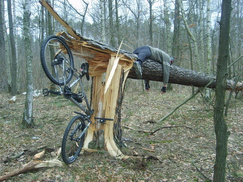 Суровый достигать. Прикольные велосипеды. Велосипед врезался в дерево. Смешные велосипеды. Велосипед юмор.