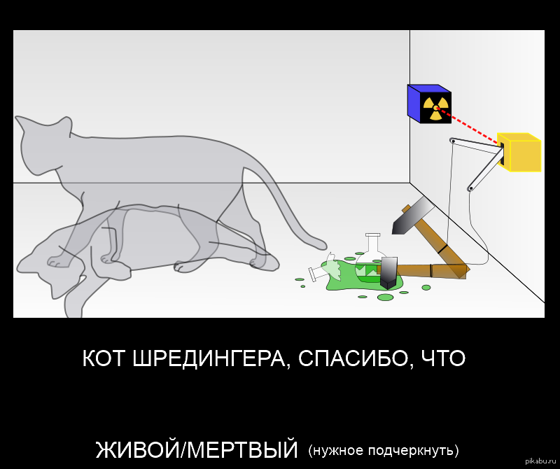 Квантовая механика кот Шредингера. Парадокс кота Шредингера. Кот Шредингера эксперимент. Теория суперпозиции Шредингера.