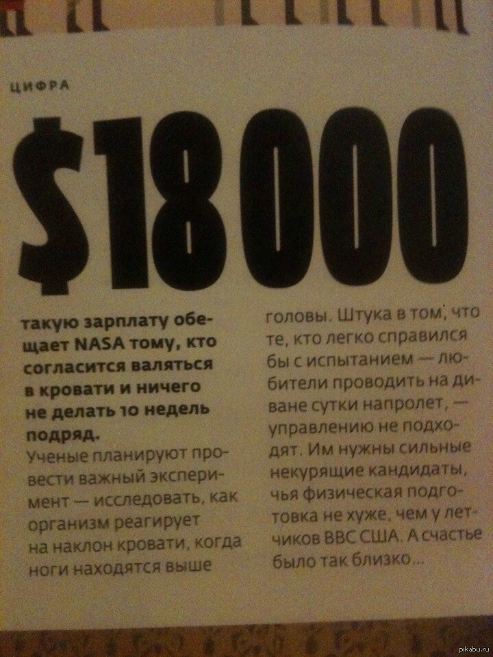 Престижная работа. Неплохая работа. Менеджер по закупкам. Мемы про заманчивое предложение. Неплохая работа.