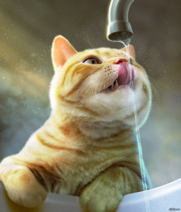 Сушняк 1. Котик пьет. Кот пьет из крана. Кот в воде. Кот под краном.