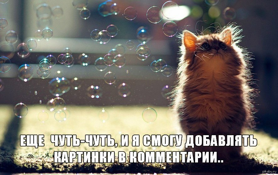 Обложки для профиля в одноклассниках красивые