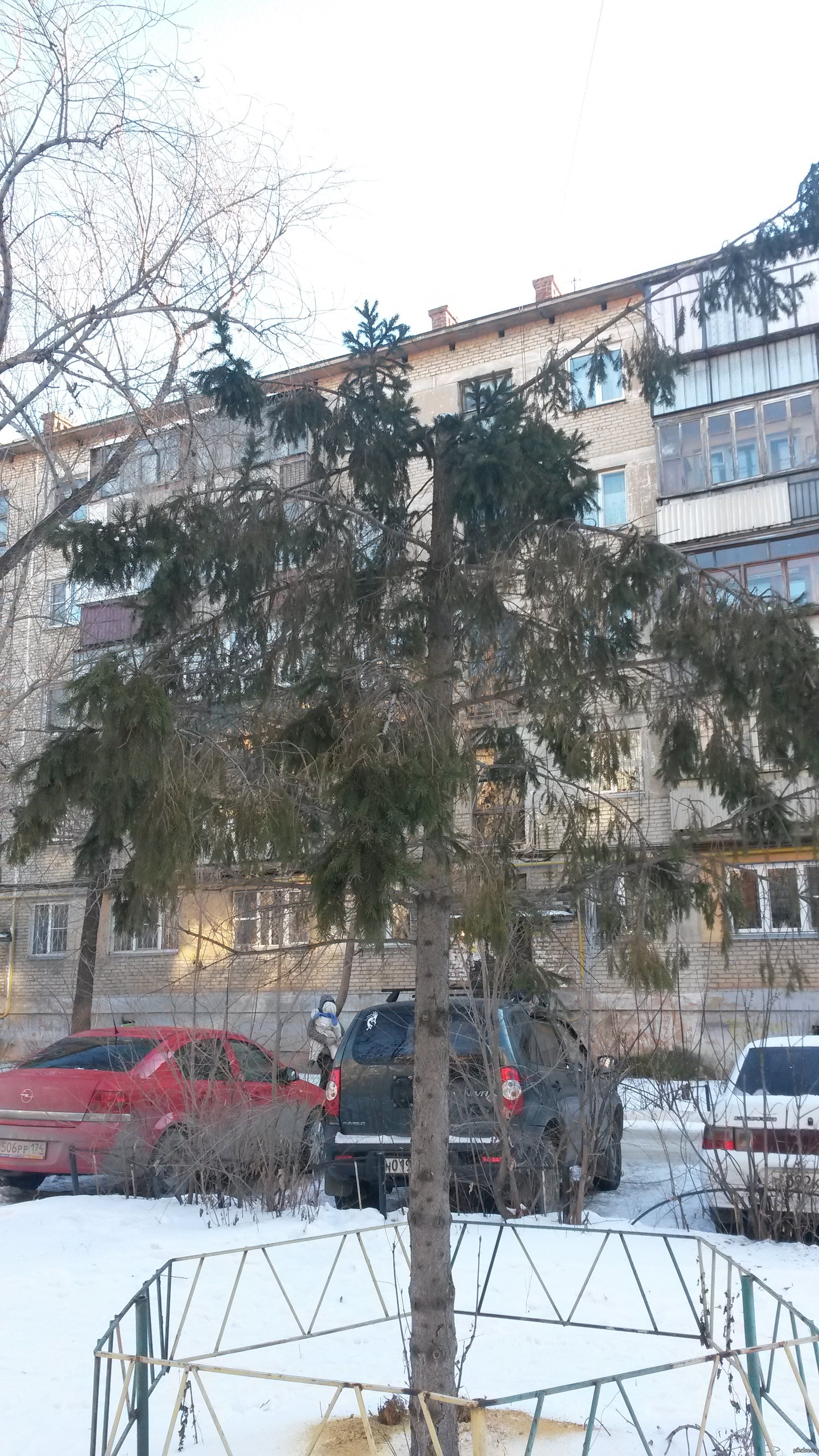 Просто нет слов... | Пикабу