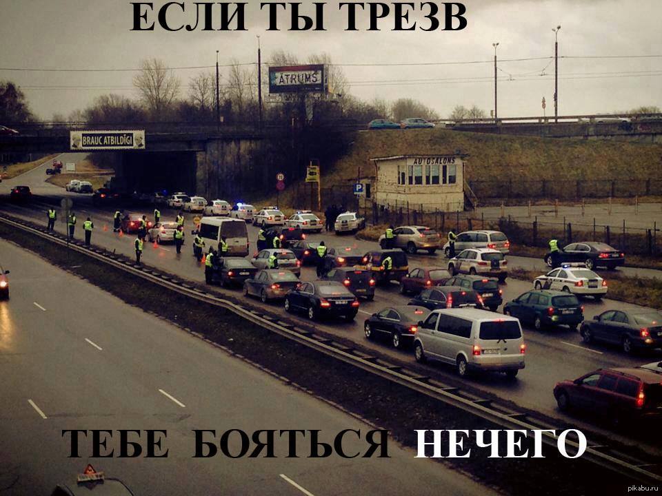 Папа Не Пей За Рулем Картинки
