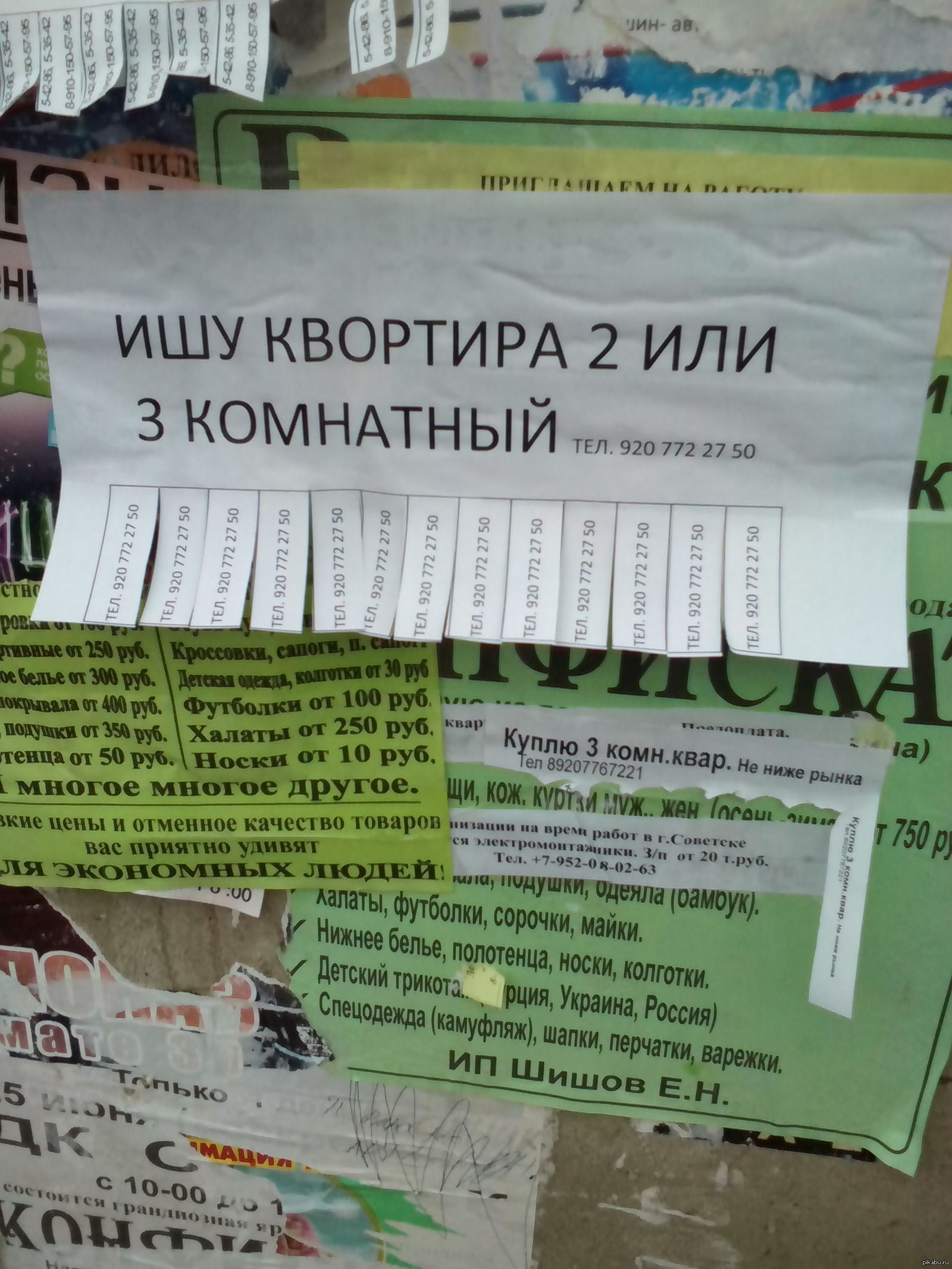 руззкие | Пикабу
