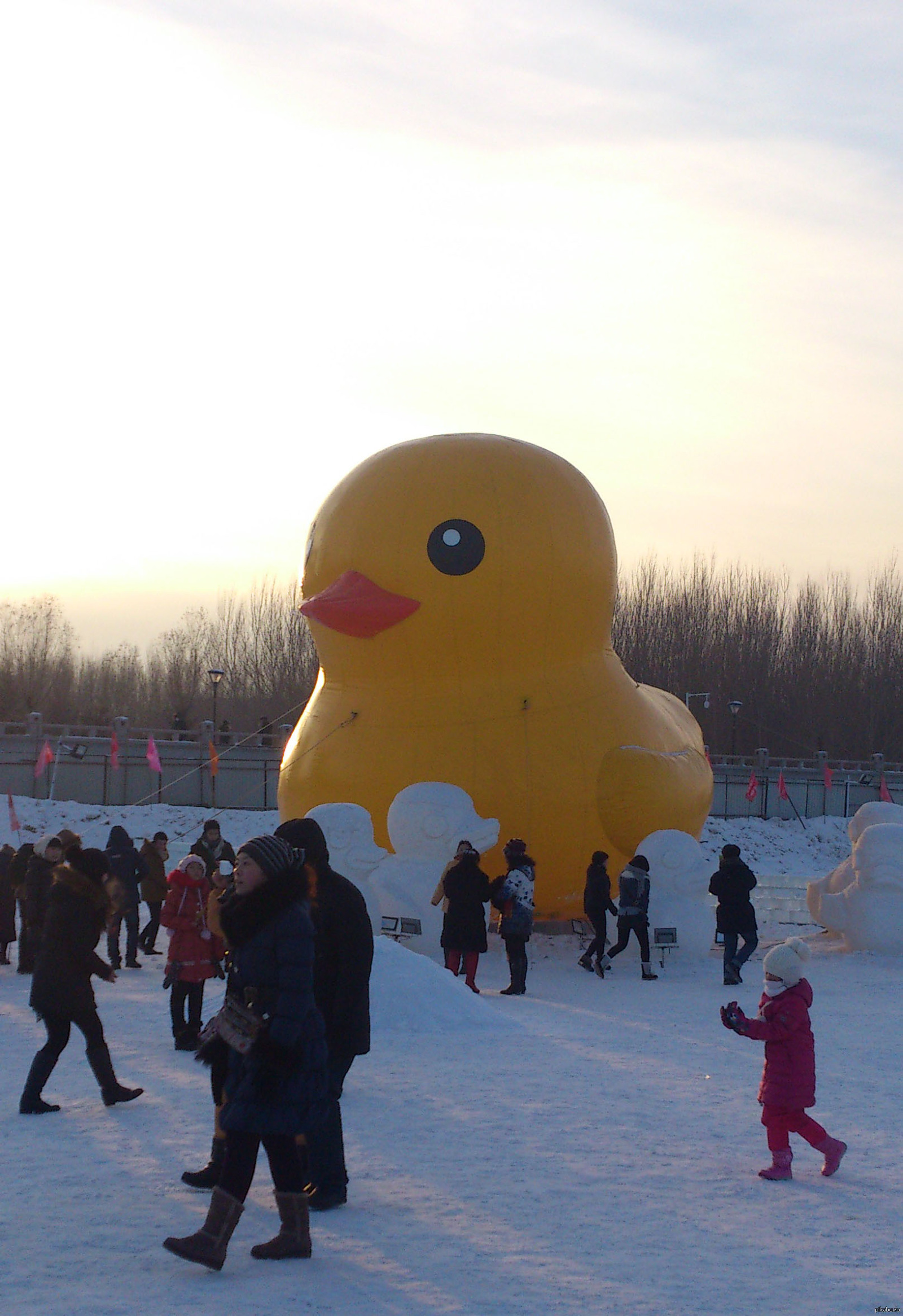 Китайцы... | Пикабу