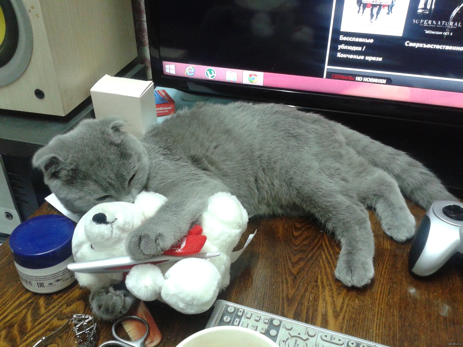 Милота ^-^ | Пикабу