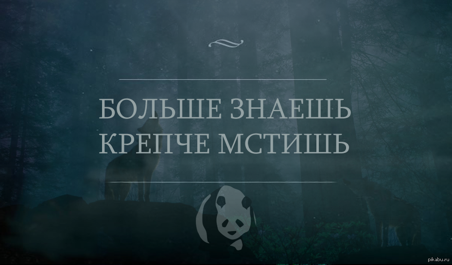 Не знавший правду. Больше знаешь крепче мстишь. Иногда лучше не знать всей правды. Докопаться до правды. Иногда лучше не знать правду цитаты.