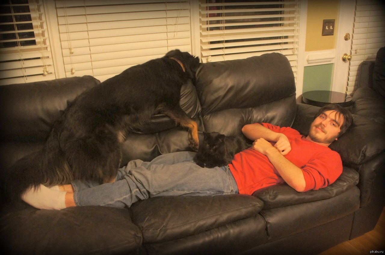 Парень на диване с собакой