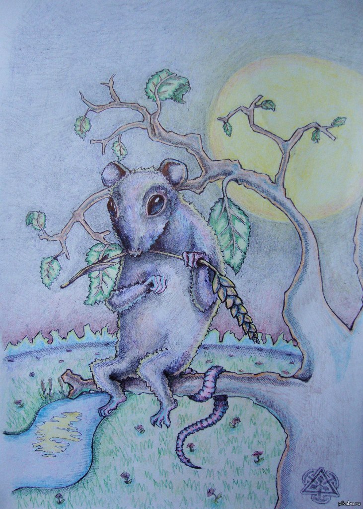 Элджернон чарли и я. Цветы для Элджернона мышь. Цветы для Элджернона мышонок. Цветы для Элджернона иллюстрации. Элджернон арт.