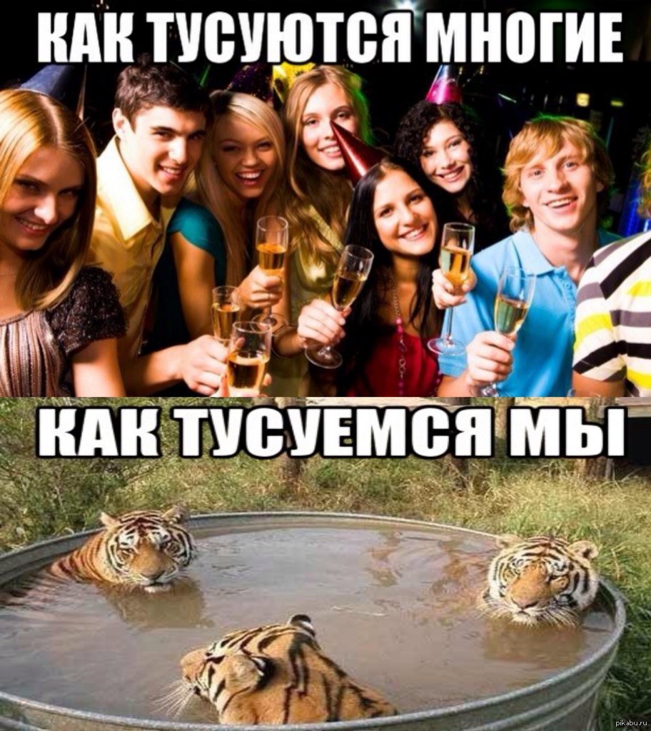 Идем тусить картинки