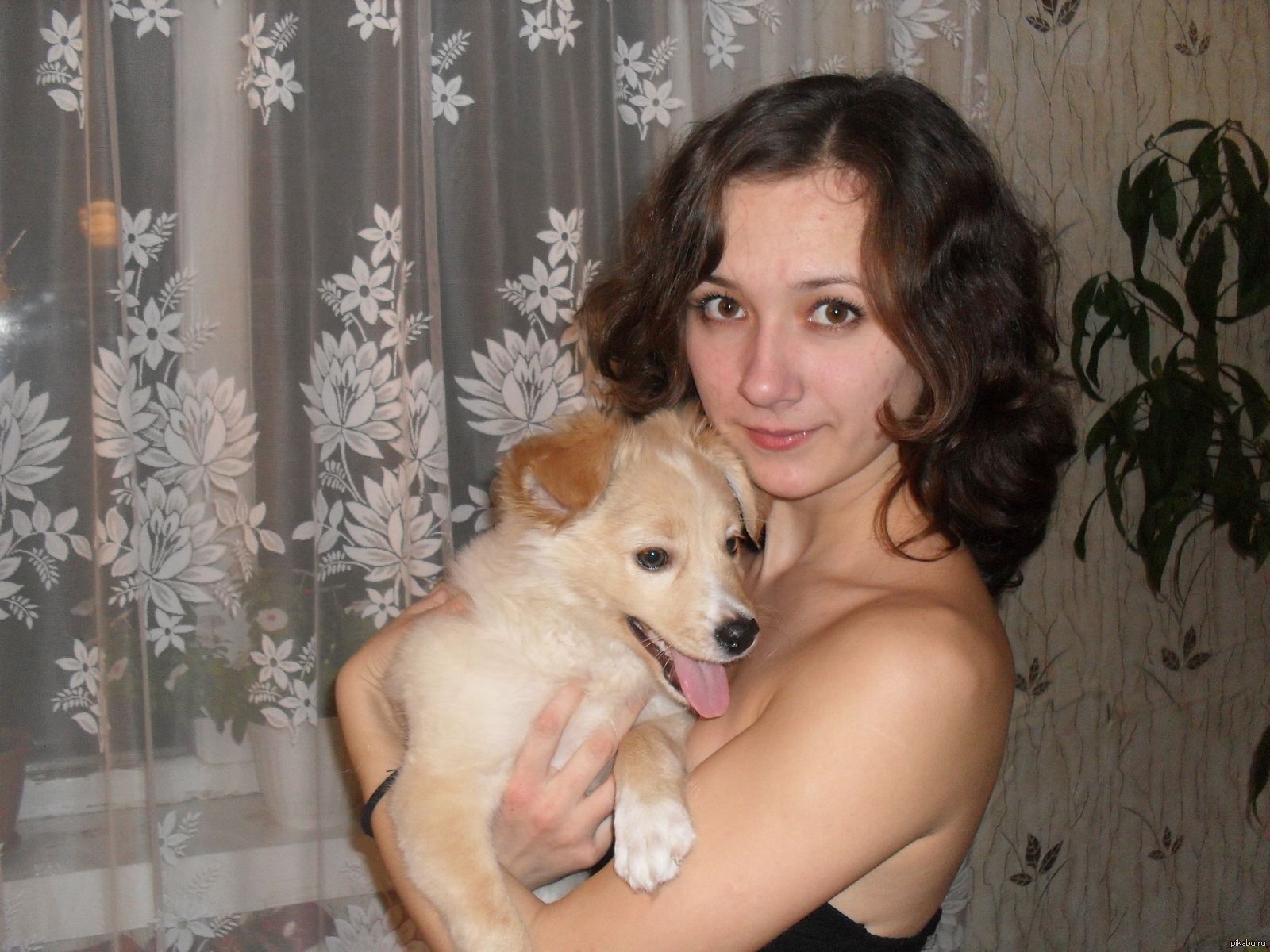 My Dog)) - My, The photo, Dog